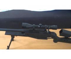 blaser r93 king arms