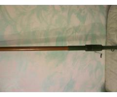 Canna Barbara Cendret