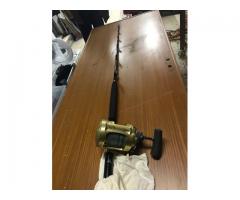 Canna da pesca Normic