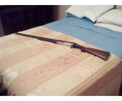 Vendo cosmi calibro 12 4000€ trattabili