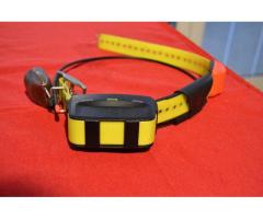 radiocollare garmin dc 50 americano